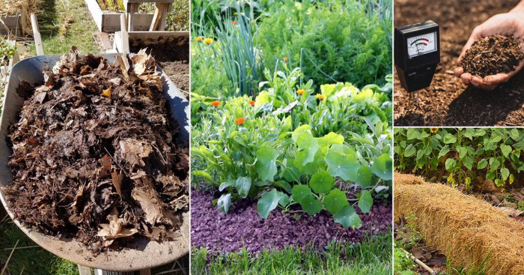 Compost for Your Garden